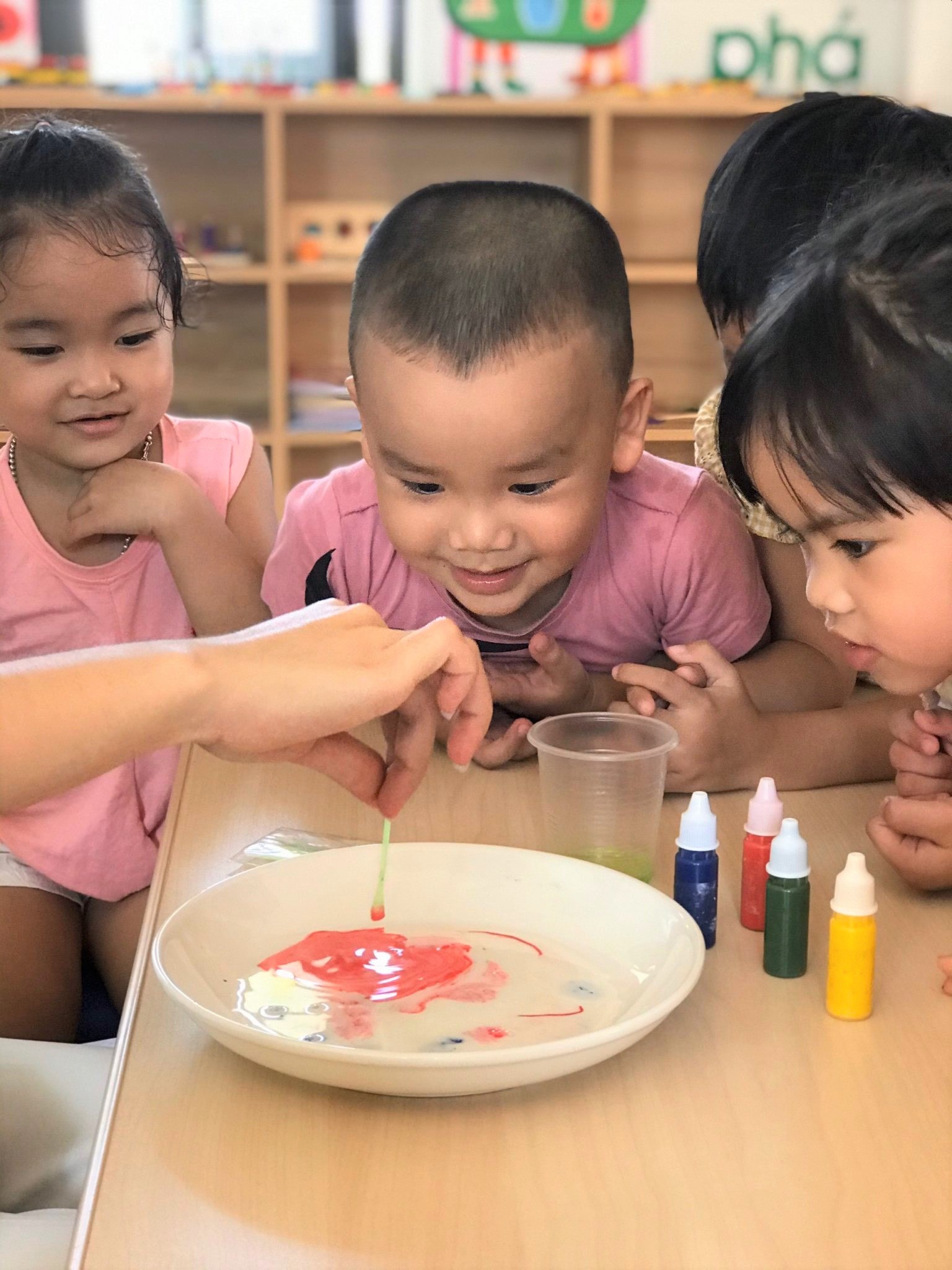 Chương trình giáo dục chất lượng cao